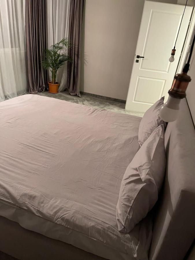 クルージュ＝ナポカGavas Jacuzzi & Panoramic Viewアパートメント エクステリア 写真